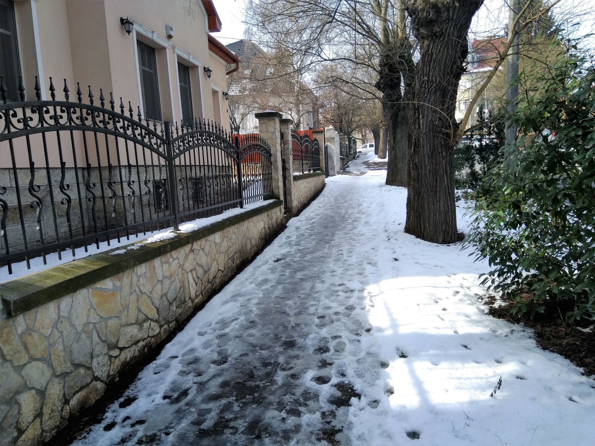 IMG 20190131 112408 1