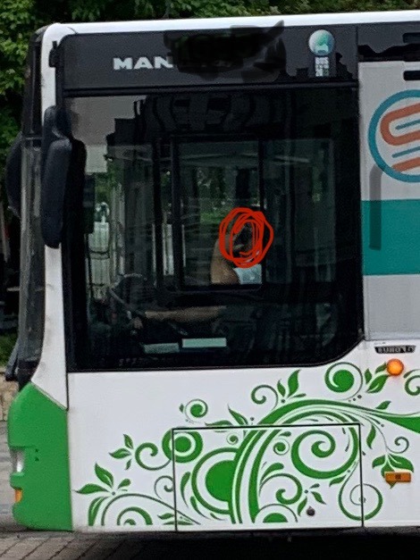 60242006 1084256198441442 4460494893206208512 n