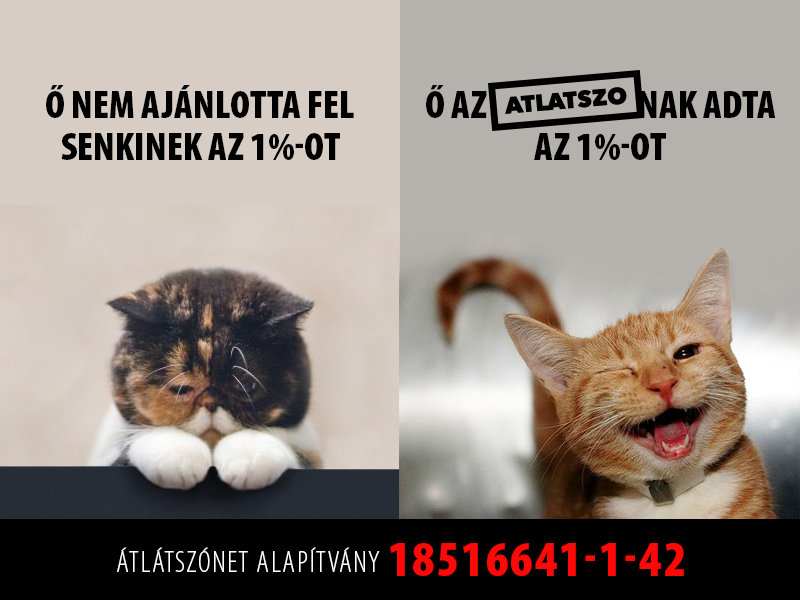 60364166 2234344516635052 229310189424082944 n