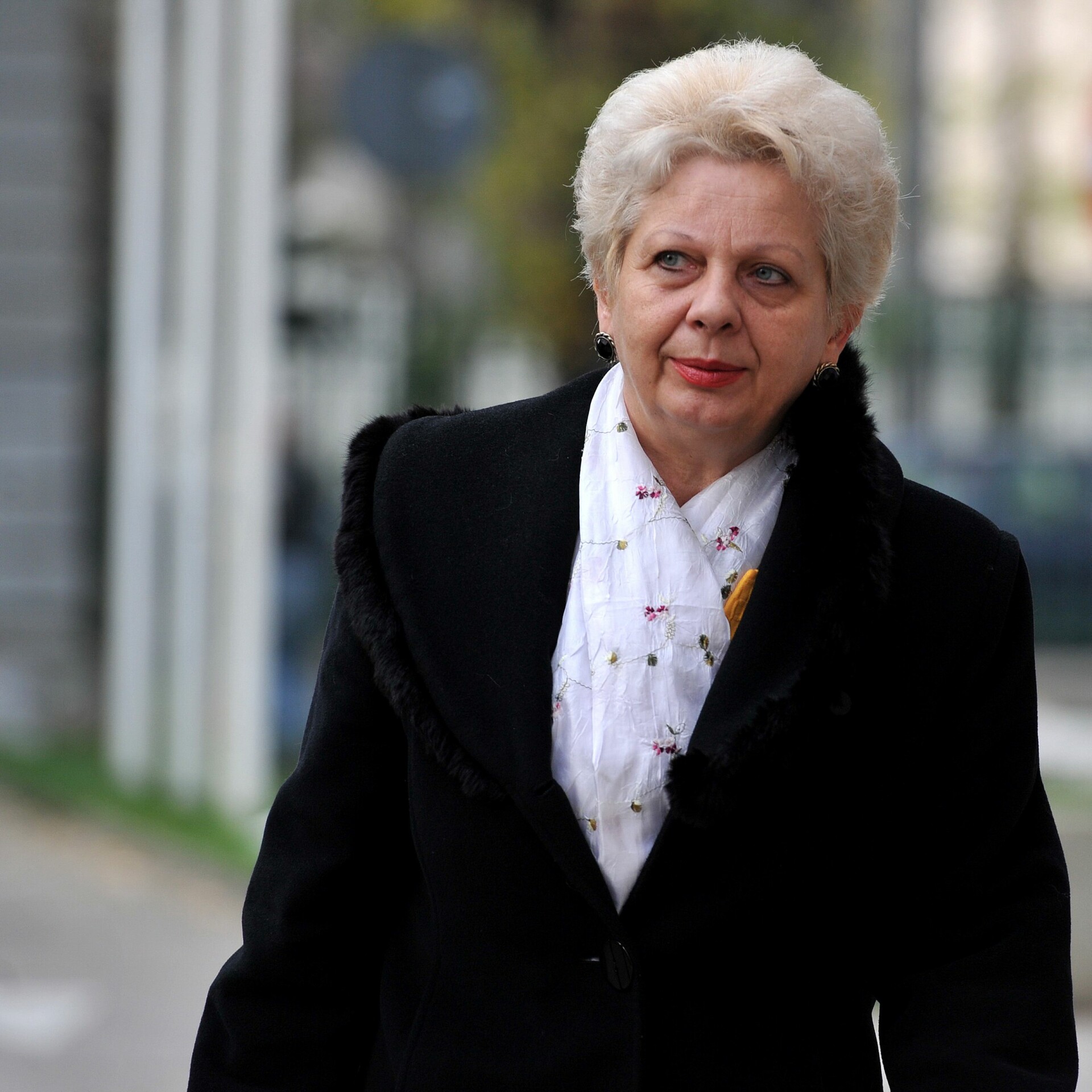 Doina Pana la reuniunea BPN 02.12.2013 11173075536