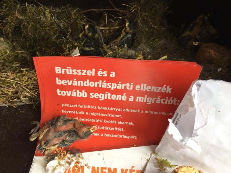 oltszoro