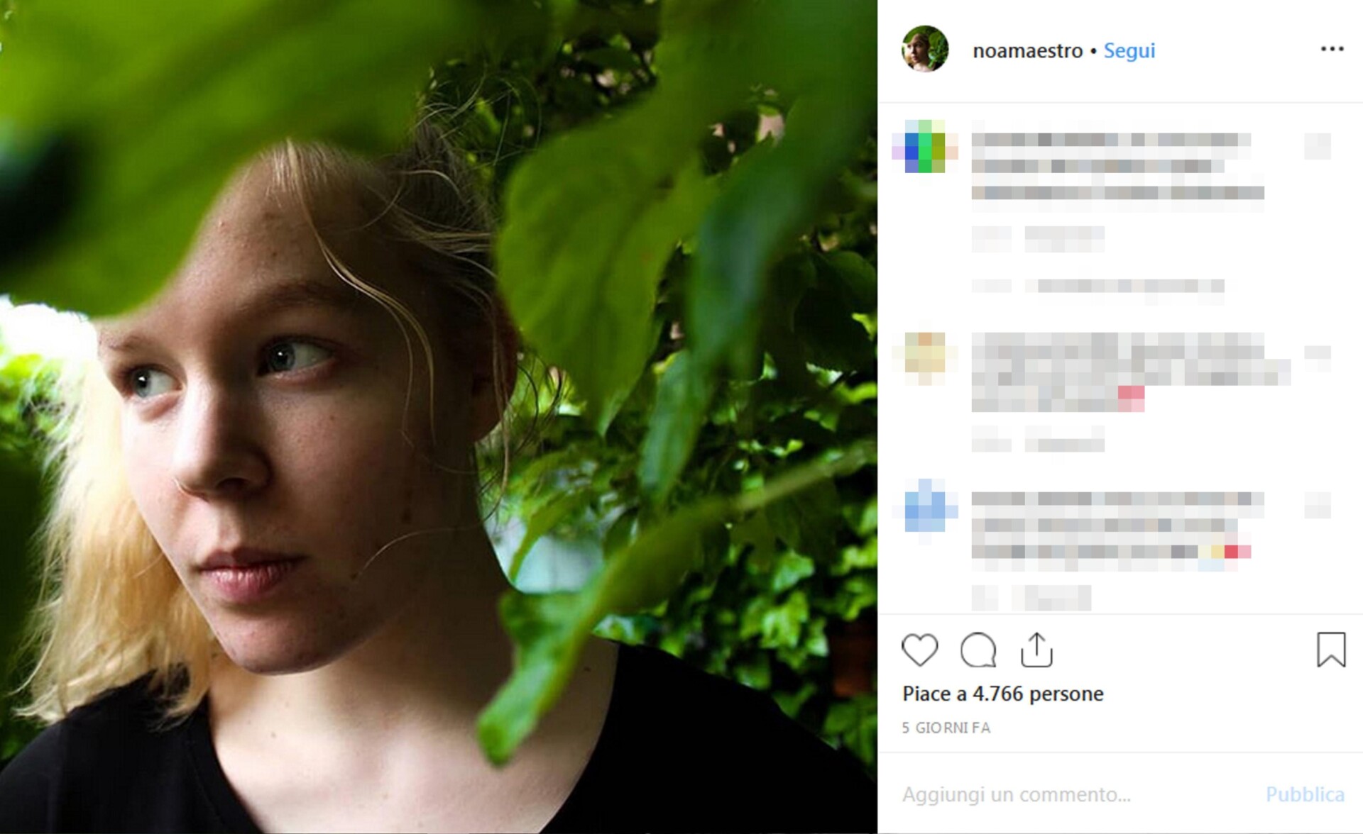 noa pothovan olanda