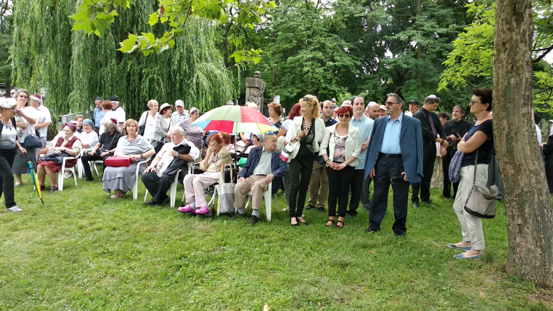 IMG 20190623 111252