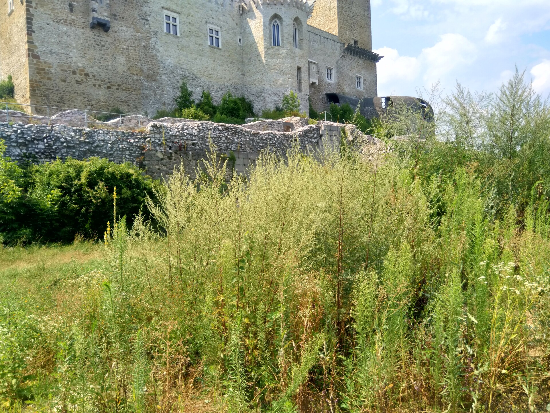 IMG 20190721 141534