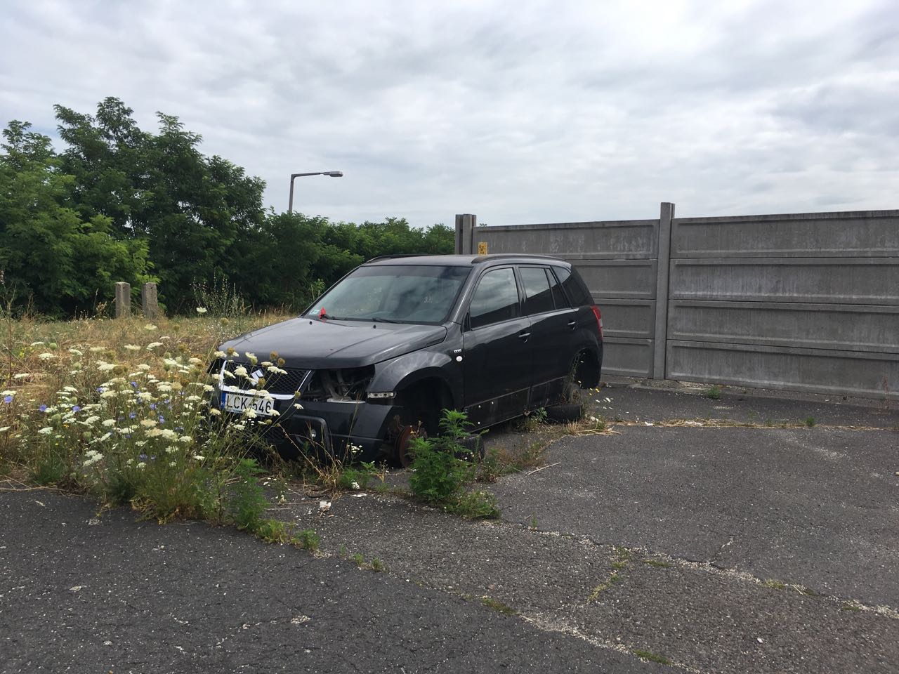 IMG 5d7c169ffeea33a762e5cc0a0288039d V