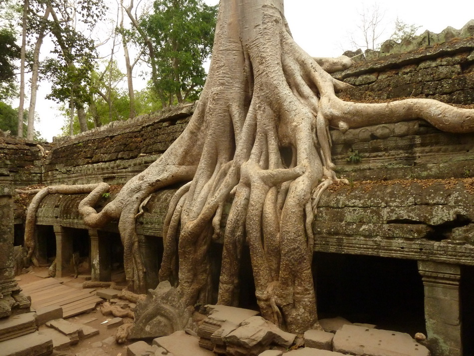 02 cambodia angkor wat 1 950