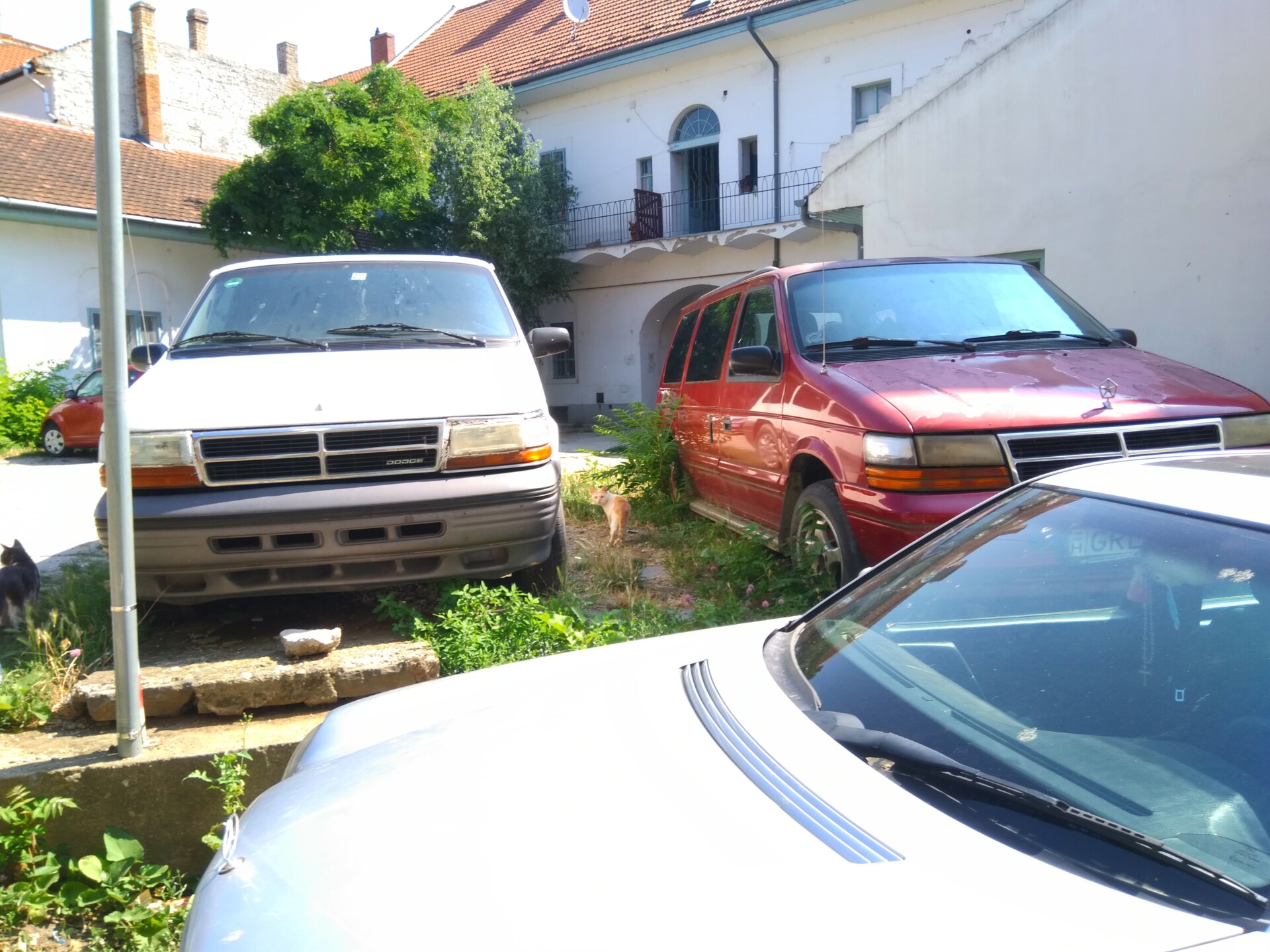 IMG 20190716 100016