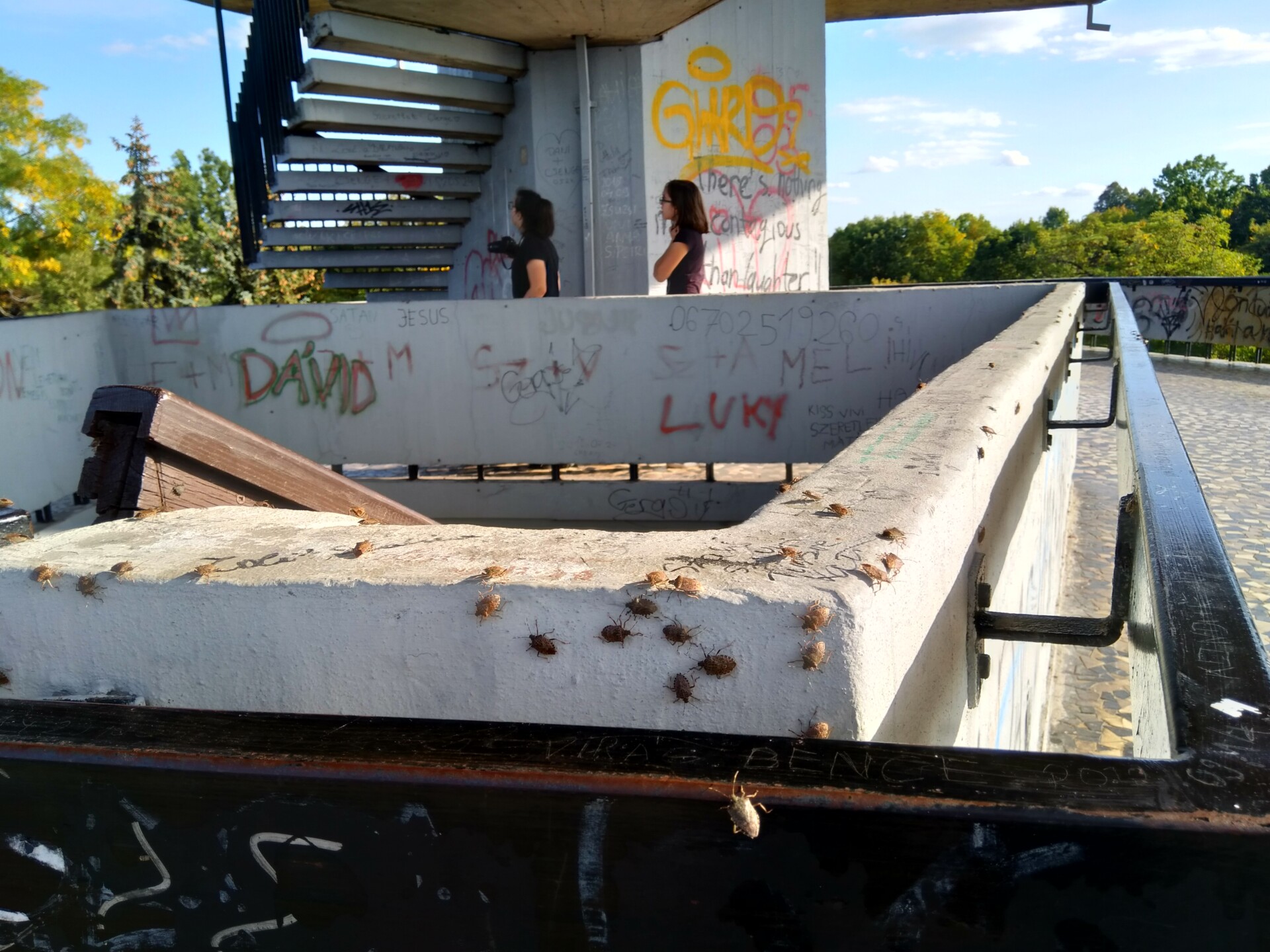IMG 20190929 154024