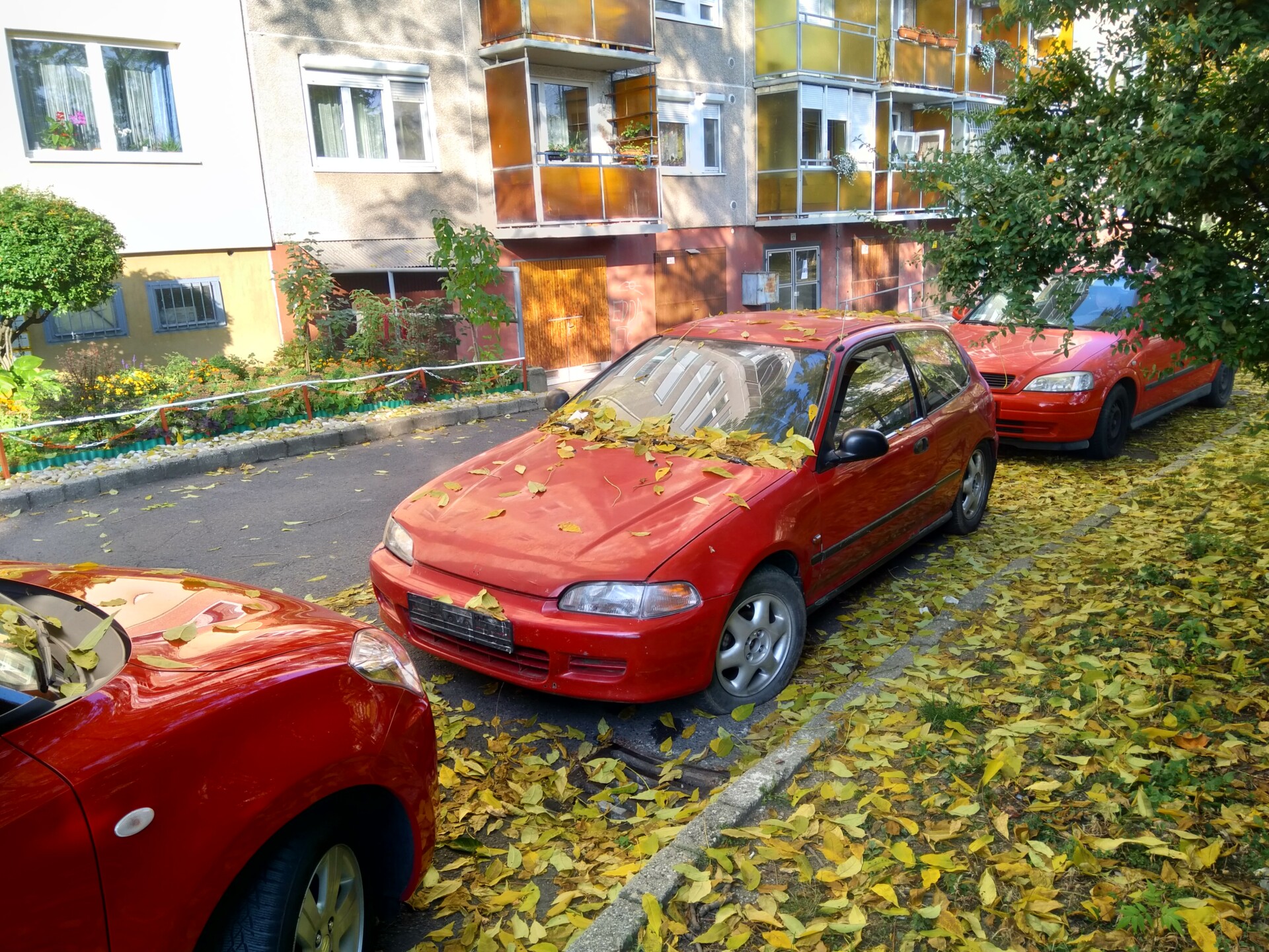 IMG 20191022 092559