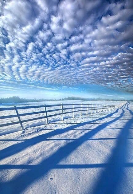 75456754 10157438634541066 3746381328124215296 n