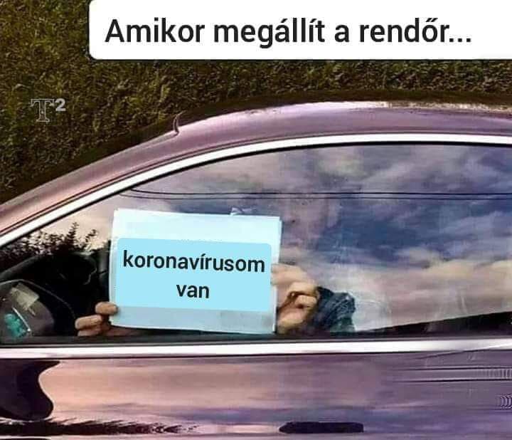 89338413 797969940688085 2192984252360949760 n