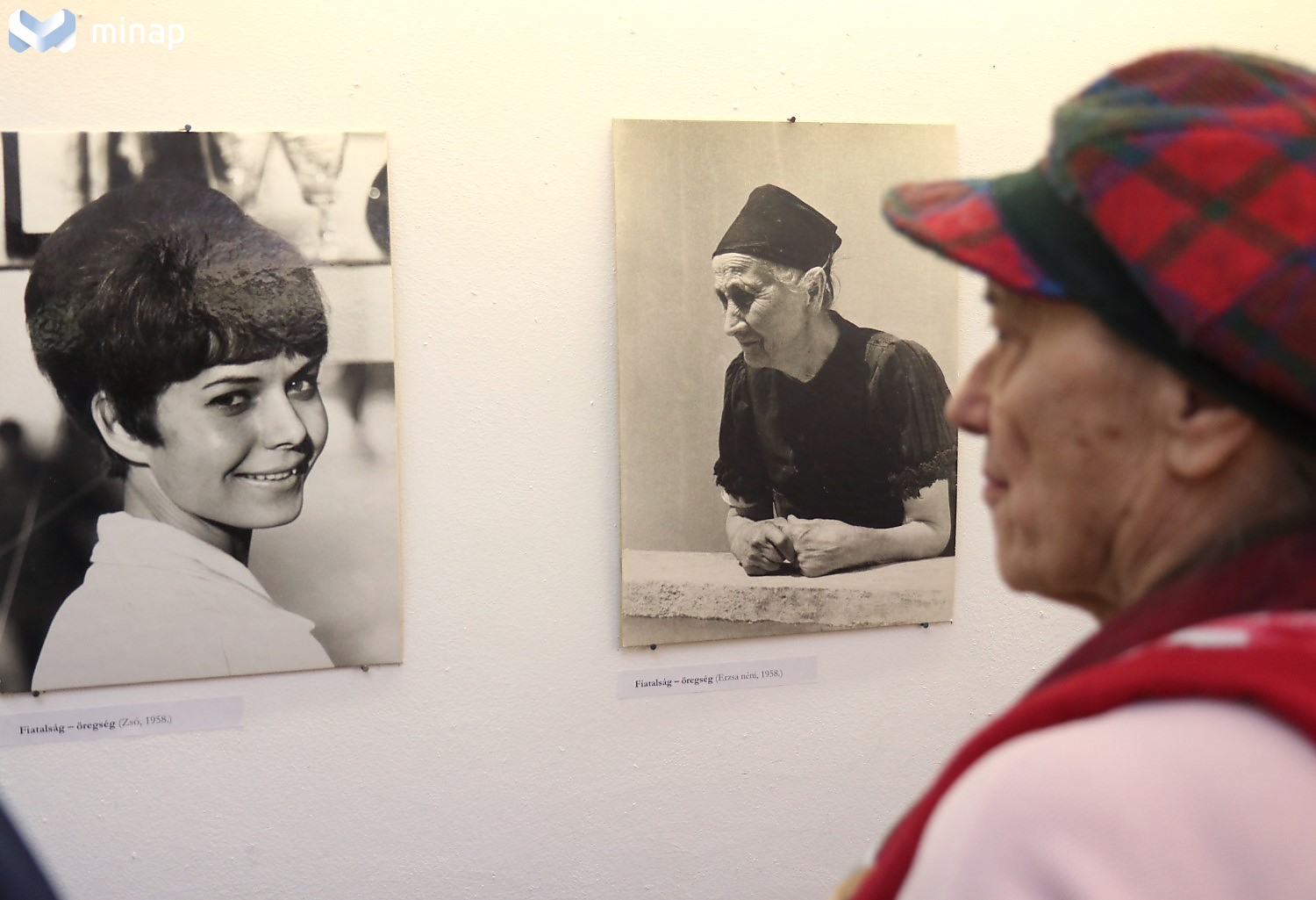 farkas fotokiallitas 200311ml 21