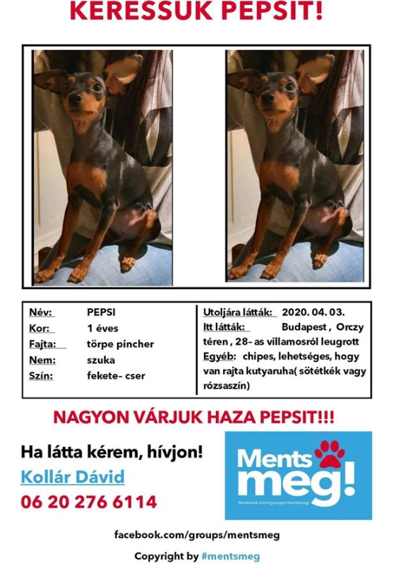 Jegyzet 2020 04 05 195141