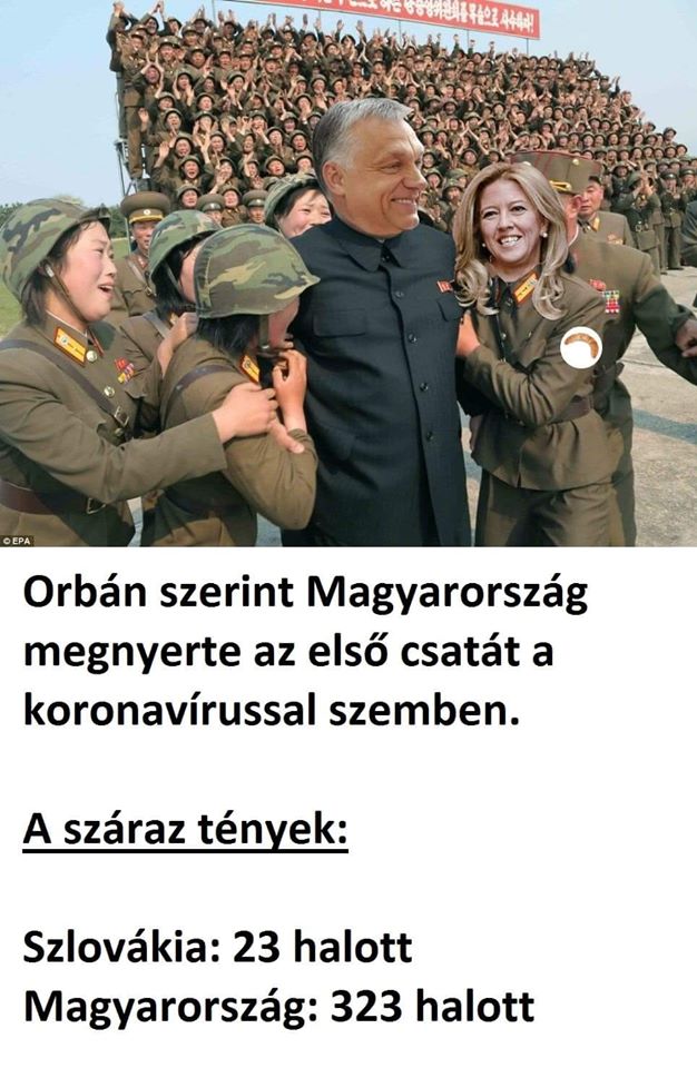 95666478 1855585951239929 9083069074635751424 o