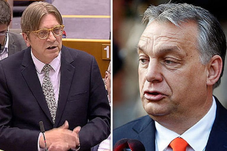 kedd verhofstadt orbán hitler kritika 200512 768x512