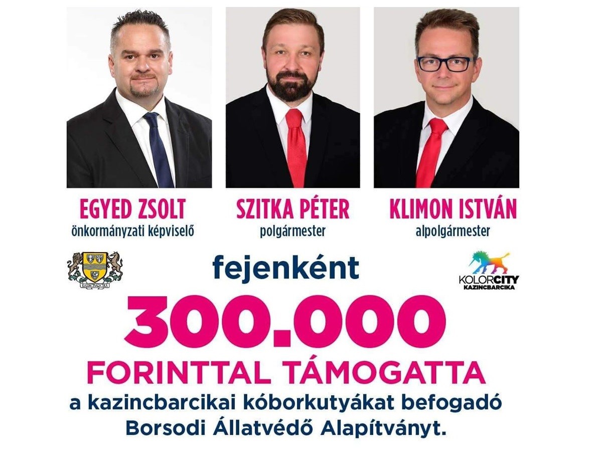 egyed zsolt