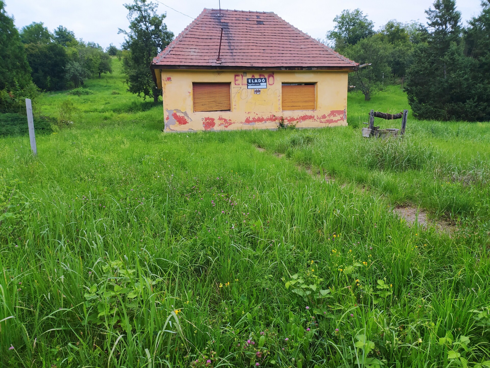 IMG 20200719 191342