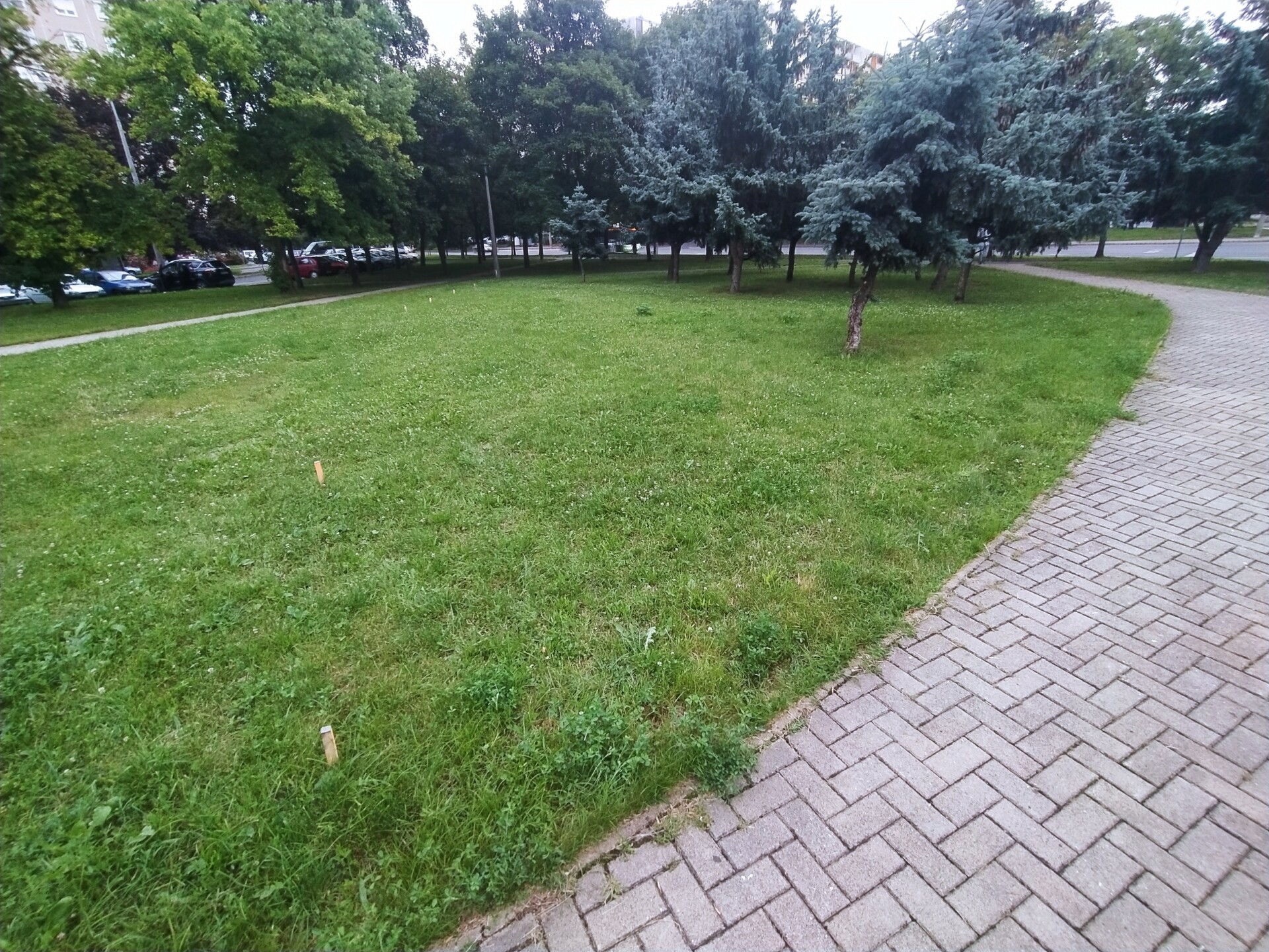 IMG 20200725 191529