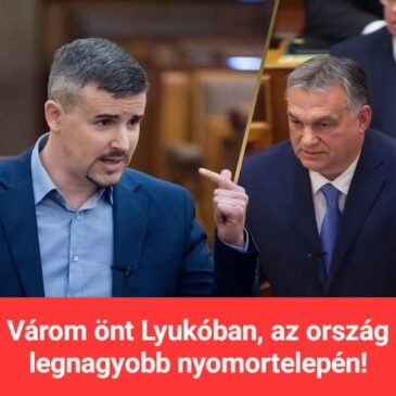 Fodor Réka fitneszedző Barackcsapat