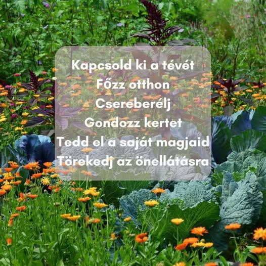 494717298 1861640504656991 3114065044553017609 n