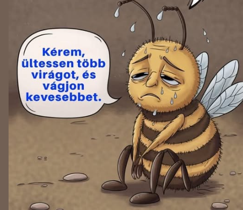 képernyőkép 2026 03 05 074014