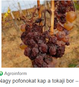 képernyőkép 2026 03 10 101102