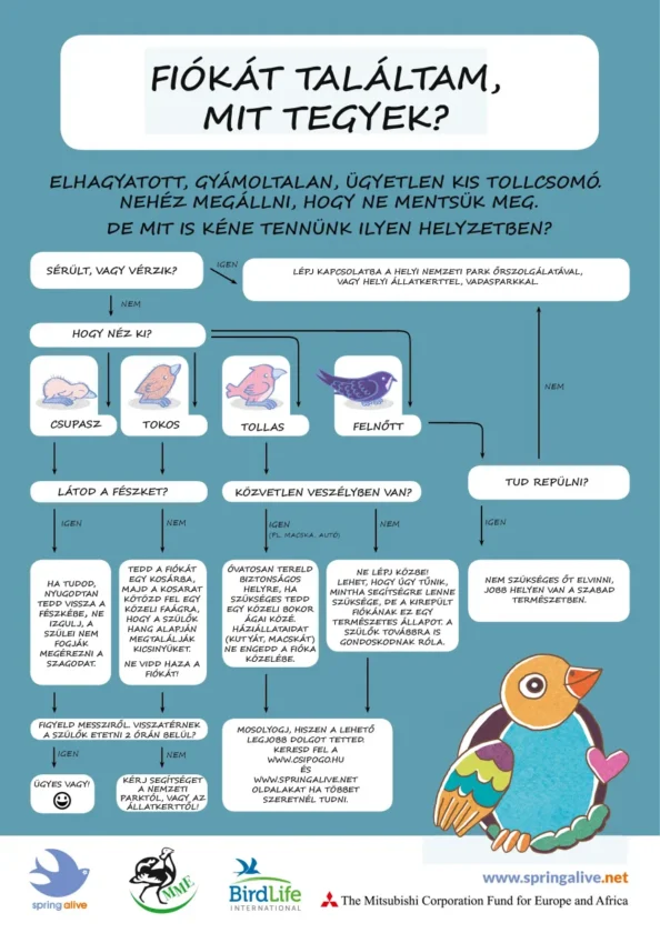 1776681474 temp 1fu80nvq8cgg4gbnegg cikktorzs xl@1.25x