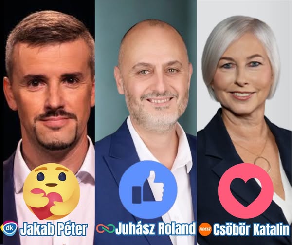 659907450 27014383451480730 1615220410827871093 n