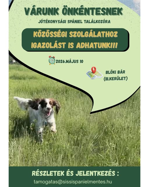 675970530 1346429620850001 1349039878467561637 n