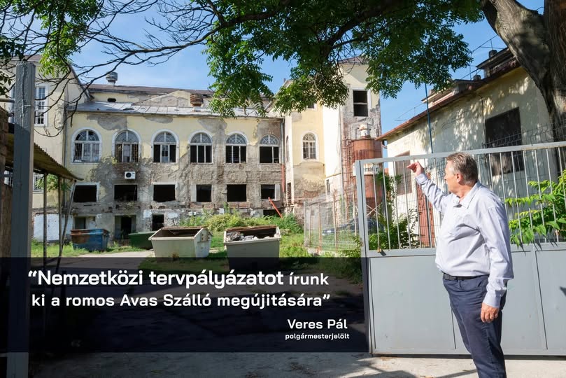 69656574 702446086848527 5456011520066453504 n