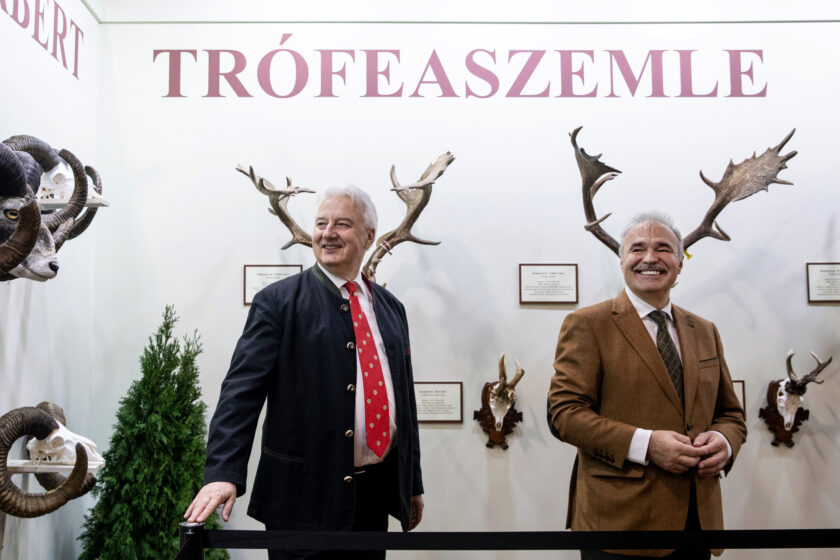 8ktzrxhogsawwglvs xxl