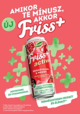 borsodi friss kv 2026 1 frissp granat 210x297 prew indd