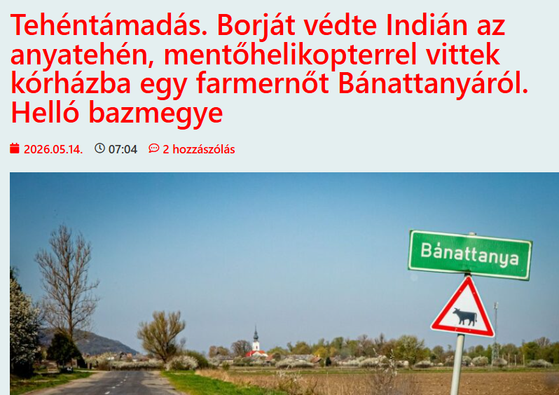 képernyőkép 2026 05 18 081159