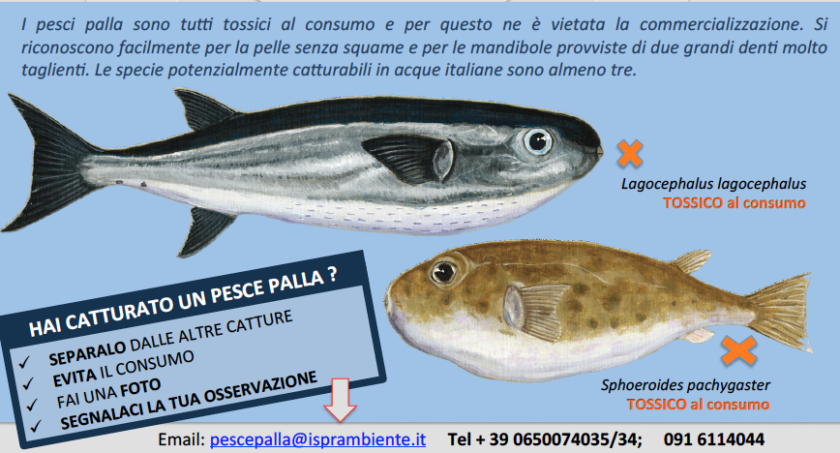 schermata 2016 01 15 alle 10.58.04
