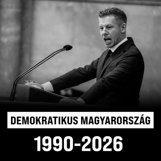 744087931 1599130358251223 2355900879755823687 n