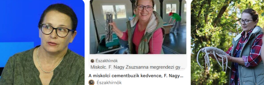 képernyőkép 2026 07 03 085746