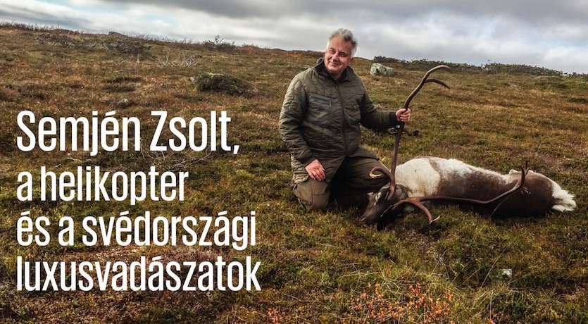 semjen renszarvas
