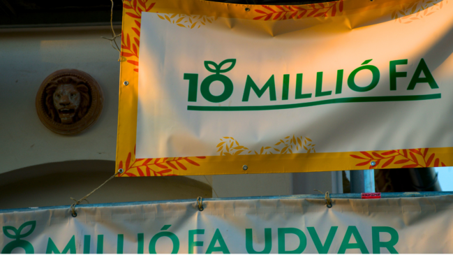 10 millió fa ördögkatlan