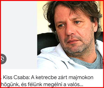 képernyőkép 2026 08 07 153108