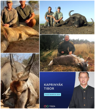 képernyőkép 2026 10 06 082725