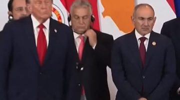 10293402293580955690
