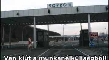 1069426_567633173279117_1459572248_n