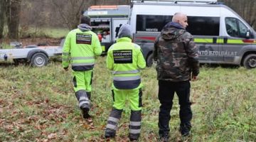 11151735375238698308