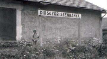 12208868_838134696299996_1895163877904287991_n