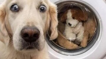 131211714_10158735570441066_7381506289431441330_n