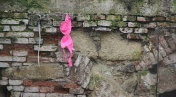 131416228_4126222107390588_5506902931398032947_o