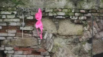 131416228_4126222107390588_5506902931398032947_o
