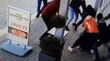 13b32595-3b24-4a7b-8d9e-f17569fbca6f