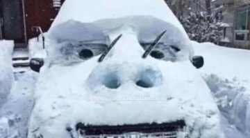 143802669 10158858318086066 2101188815756769186 n 672x840 2