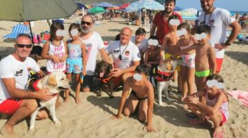 1628508221-temp-nikffo-20210809-815-543-90-zc
